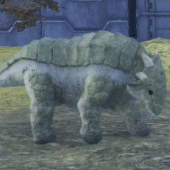 グラース・アルマ画像