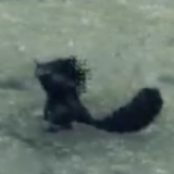 ナイルズ・ホッグス画像