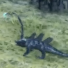 モイスト・ウーパー画像