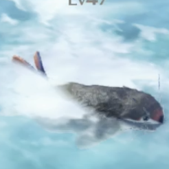 マキリ・プクポカ画像