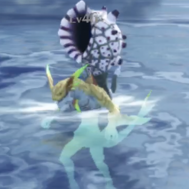 バード・アグーア画像