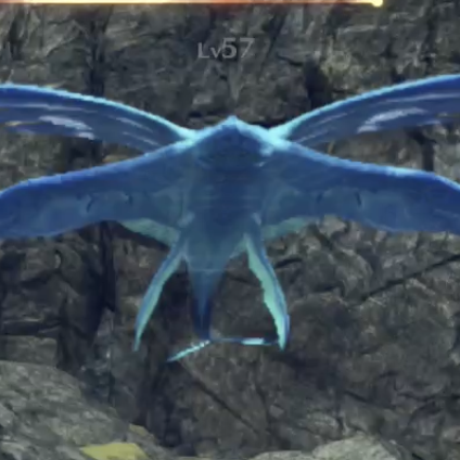 ハイウィン・モラモラ画像