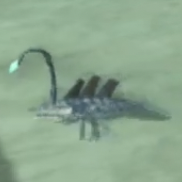 ウェット・ウーパー画像