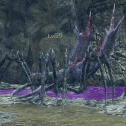 マリアメア・アントル画像