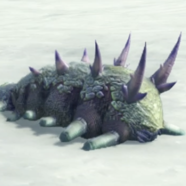 ロットン・キャピル画像