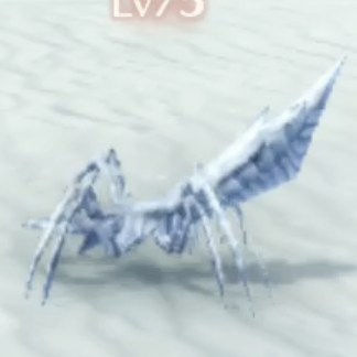 マスター・アントル画像