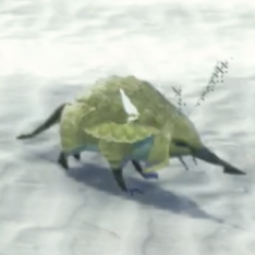 アグリス・タスマン画像