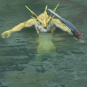 マグアロー・アグーア画像