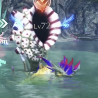 ディスコード・アグーア画像