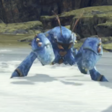 ナオラ・シュリブ画像