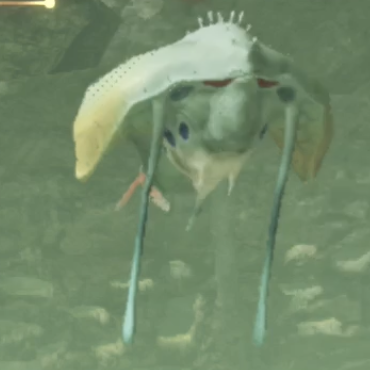 チェリス・ジェリー画像