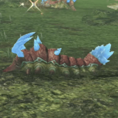 バキュラー・エルーカ画像