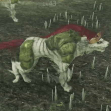 クラン・フェリス画像