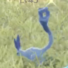 アイランド・バニット画像