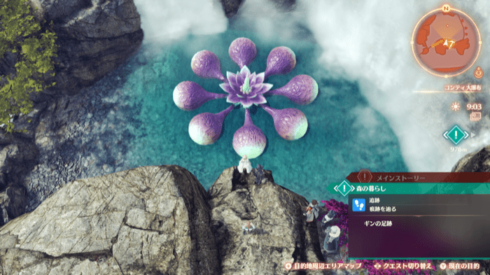 誘蕾のフラリス画像