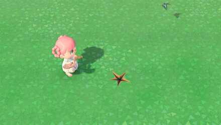 島にある亀裂をスコップで掘る