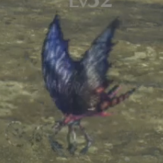 モルスラ・フライア画像