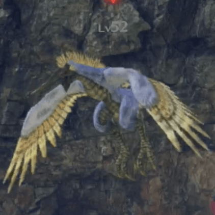 ハンター・アンセル画像