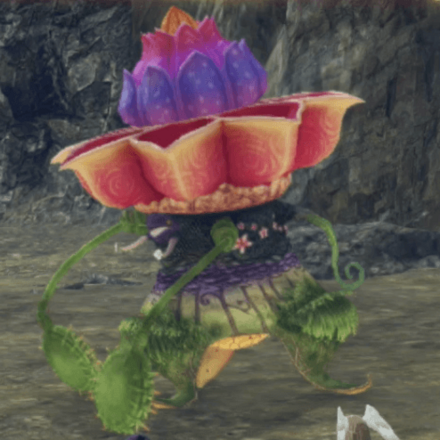 サプリーム・バランド画像