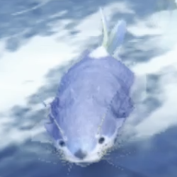 ティキタ・プクプカ画像