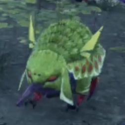 シャンク・タスマン画像