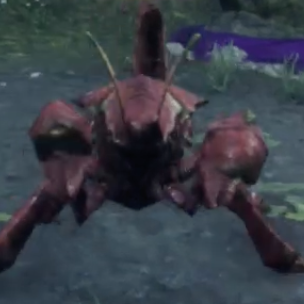 ペイダール・シュリブ画像