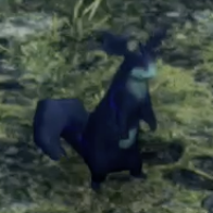 フェルーゼ・ピピット画像