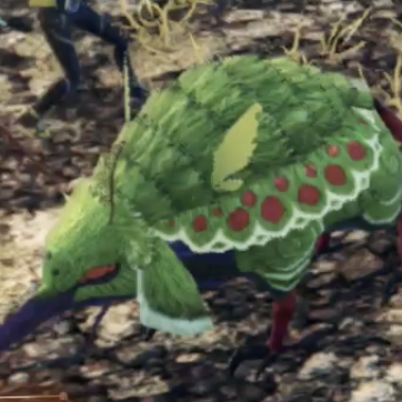 カディン・タスマン画像