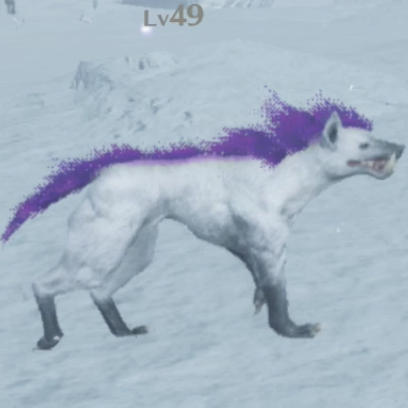 ジャック・ヴォルフ画像