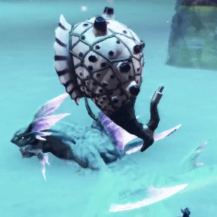 ミンストレ・アグーア画像