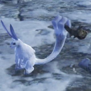 ティンガー・バニット画像