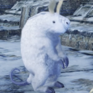 ローデン・カピーバ画像