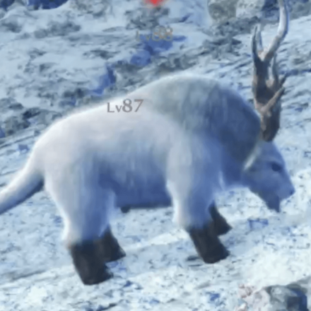 コスタ・アリエス画像