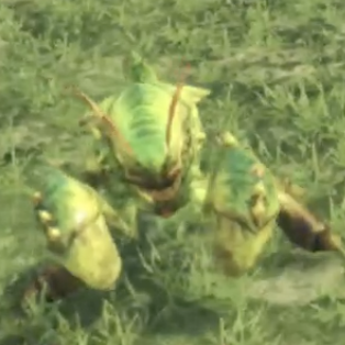 ハイブロー・シュリブ画像