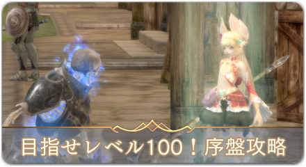 目指せレベル100