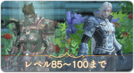 85〜100レベルサムネ