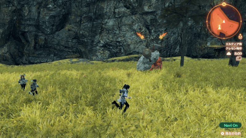 頑殻のアドマリー画像