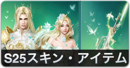 S25スキン・アイテム