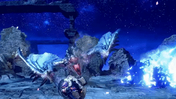 リオレウス希少種のキック