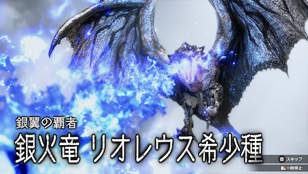 リオレウス希少種