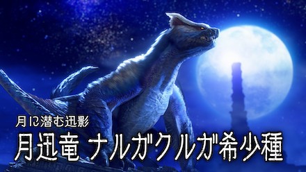 ナルガクルガ希少種