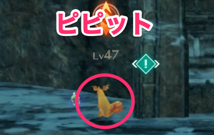 ピピットの見た目