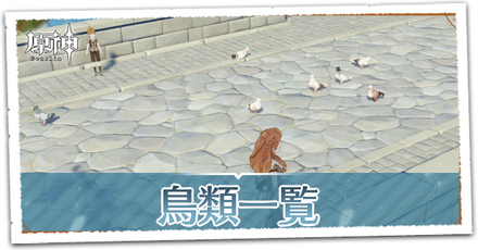 鳥類一覧