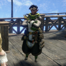 サンブレイク 傀異 怪異 研究レベル上げの効率的なやり方 モンハンライズ ゲームエイト