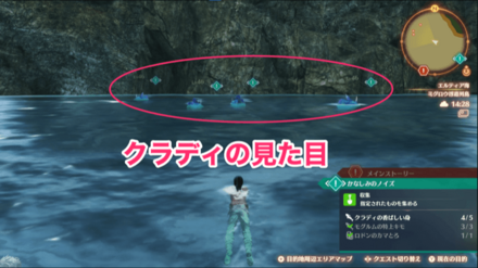 クラディの見た目