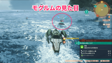 モグルムの見た目