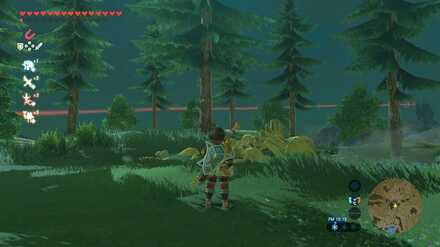 夜になっても起きないスタルヒノックス