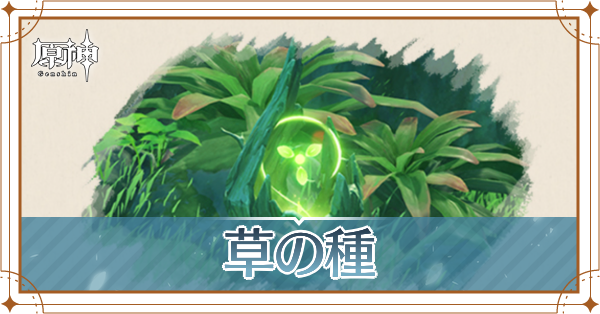 草の種_アイキャッチ