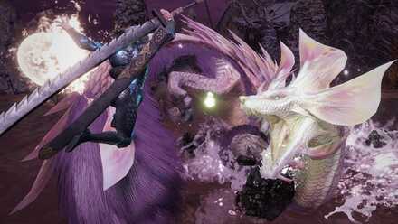 水清ければ月宿るの開催日