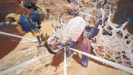 砂漠に咲く白糸の花の開催日